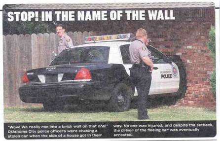 stop in the name of the law and the wall police car crash into wall